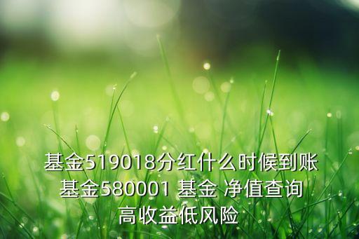  基金519018分紅什么時候到賬 基金580001 基金 凈值查詢高收益低風險