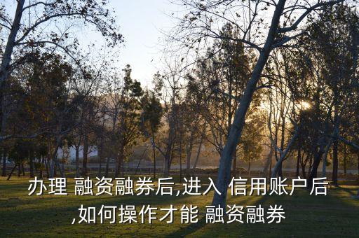 辦理 融資融券后,進(jìn)入 信用賬戶后,如何操作才能 融資融券