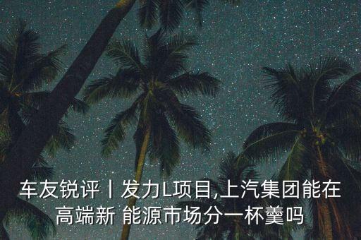 上海第六屆新能源大會