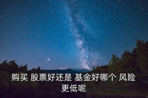 購(gòu)買(mǎi) 股票好還是 基金好哪個(gè) 風(fēng)險(xiǎn)更低呢