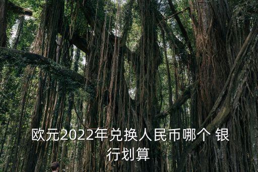  歐元2022年兌換人民幣哪個(gè) 銀行劃算