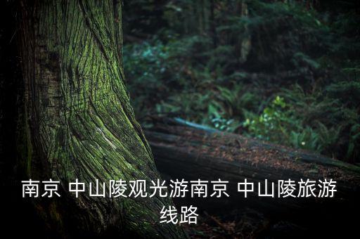 南京 中山陵觀光游南京 中山陵旅游線路