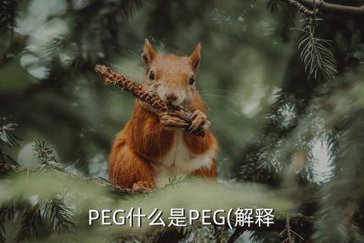 peg小于1的股票有哪些,股票PEG小于1是什么意思