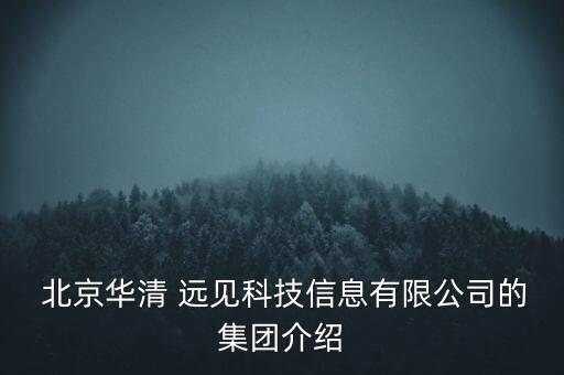  北京華清 遠(yuǎn)見(jiàn)科技信息有限公司的集團(tuán)介紹