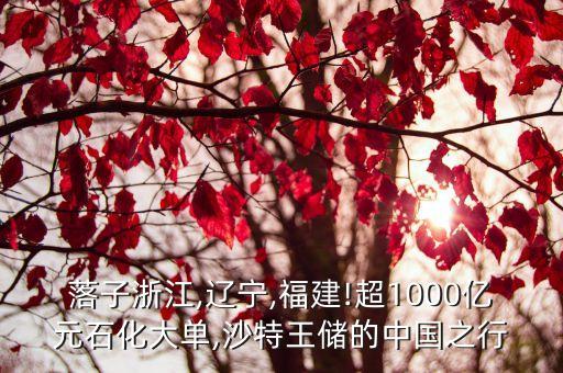 落子浙江,遼寧,福建!超1000億元石化大單,沙特王儲(chǔ)的中國之行