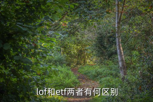  lof和etf兩者有何區(qū)別