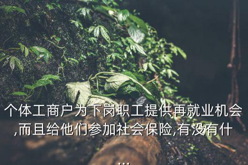 個體工商戶為下崗職工提供再就業(yè)機會,而且給他們參加社會保險,有沒有什...