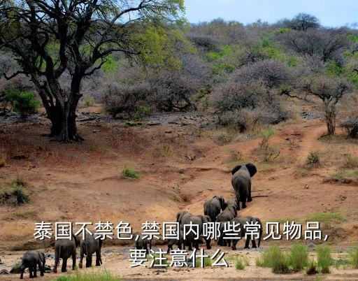  泰國不禁色,禁國內(nèi)哪些常見物品,要注意什么