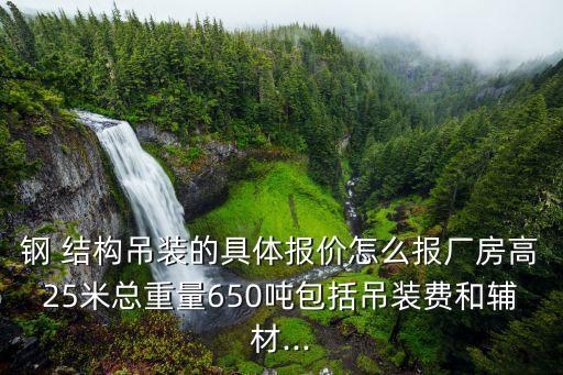 鋼 結(jié)構(gòu)吊裝的具體報價怎么報廠房高25米總重量650噸包括吊裝費和輔材...