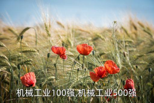 中國(guó)機(jī)械工業(yè)100強(qiáng),機(jī)械工業(yè)500強(qiáng)