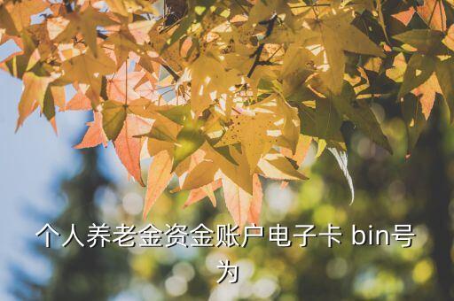 個人養(yǎng)老金資金賬戶電子卡 bin號為