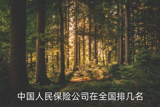 中國人民保險公司在全國排幾名