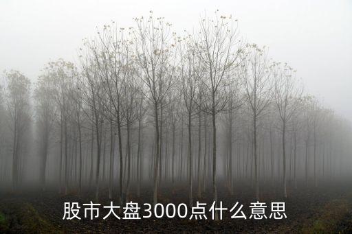 股市大盤3000點什么意思