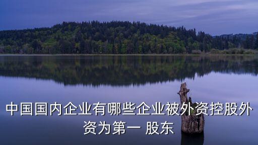 中國(guó)國(guó)內(nèi)企業(yè)有哪些企業(yè)被外資控股外資為第一 股東