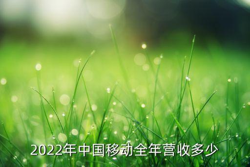 中國聯(lián)通股份公司年報,股份公司年報預(yù)告有什么規(guī)定