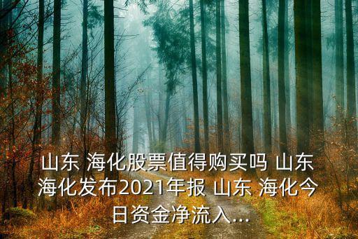  山東 ?；善敝档觅徺I嗎 山東 ?；l(fā)布2021年報 山東 海化今日資金凈流入...