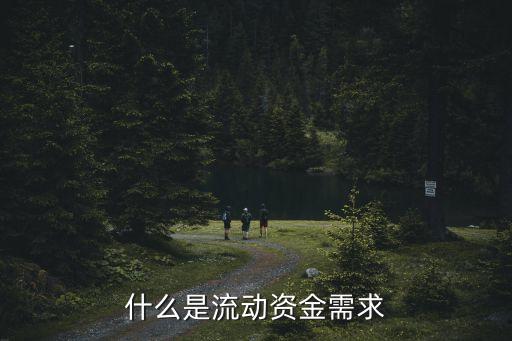 什么是流動資金需求