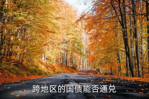 跨地區(qū)的國債能否通兌