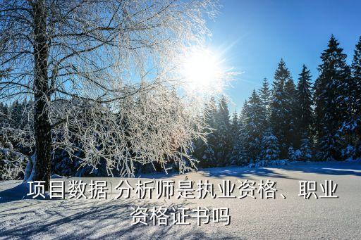  項(xiàng)目數(shù)據(jù) 分析師是執(zhí)業(yè)資格、職業(yè)資格證書嗎