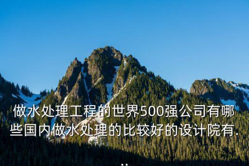 做水處理工程的世界500強公司有哪些國內(nèi)做水處理的比較好的設計院有...