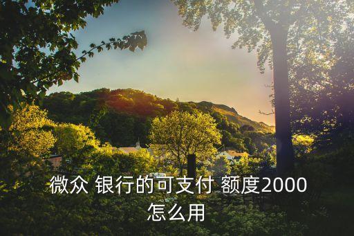  微眾 銀行的可支付 額度2000怎么用