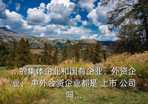 ...的集體企業(yè)和國有企業(yè)、外資企業(yè)、 中外合資企業(yè)都是 上市 公司嗎...