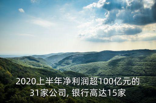 2020上半年凈利潤(rùn)超100億元的31家公司, 銀行高達(dá)15家