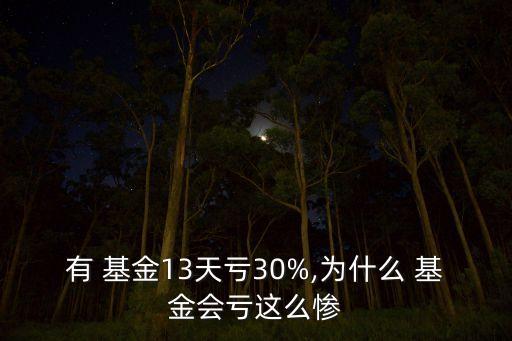 有 基金13天虧30%,為什么 基金會(huì)虧這么慘