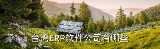 臺灣ERP軟件公司有哪些