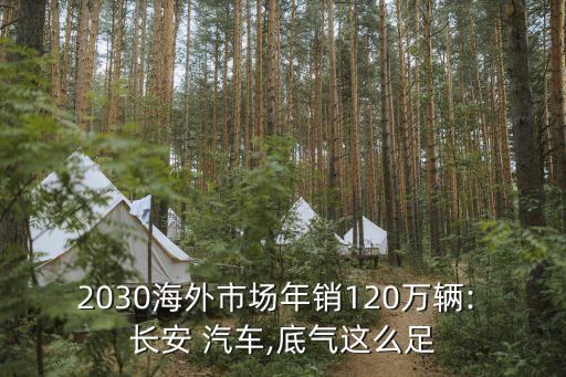 2030海外市場年銷120萬輛: 長安 汽車,底氣這么足