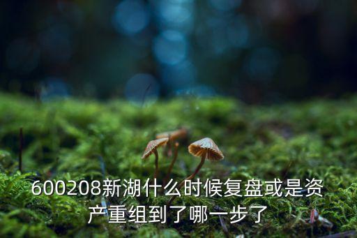 600208新湖什么時候復(fù)盤或是資產(chǎn)重組到了哪一步了