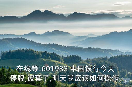 在線等:601988 中國銀行今天停牌,被套了,明天我應(yīng)該如何操作,