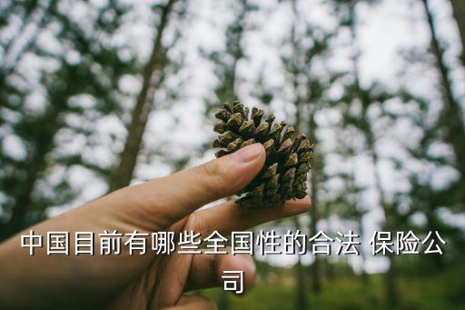 中國(guó)目前有哪些全國(guó)性的合法 保險(xiǎn)公司