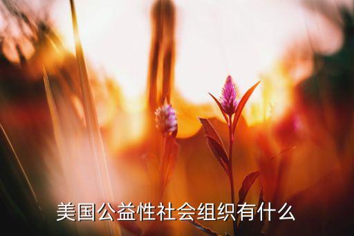 美國公益性社會組織有什么