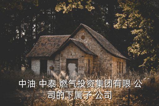 中油中泰燃?xì)庥邢挢?zé)任公司,中油南充燃?xì)庥邢挢?zé)任公司客服電話(huà)