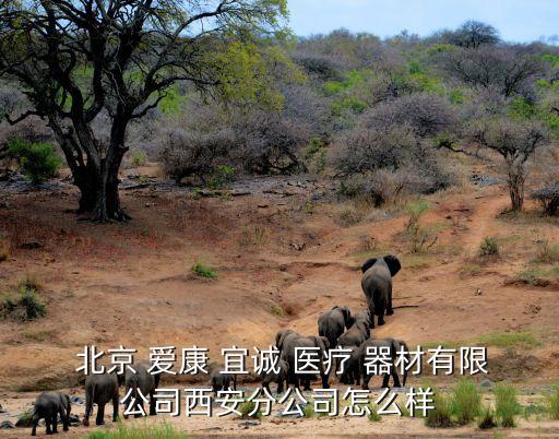 北京愛康宜誠醫(yī)療器材