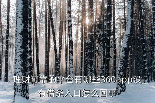 理財(cái)可靠的平臺(tái)有哪些360app沒(méi)有借條入口怎么回事