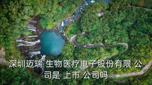 深圳邁瑞 生物醫(yī)療電子股份有限 公司是 上市 公司嗎