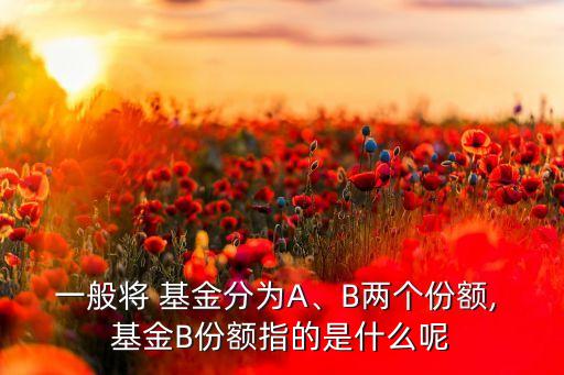 一般將 基金分為A、B兩個(gè)份額, 基金B(yǎng)份額指的是什么呢