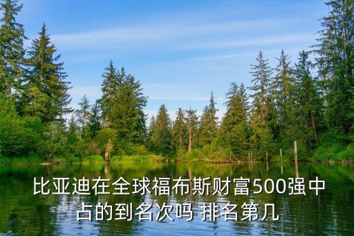  比亞迪在全球福布斯財富500強中占的到名次嗎 排名第幾