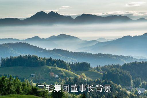  三毛集團(tuán)董事長(zhǎng)背景