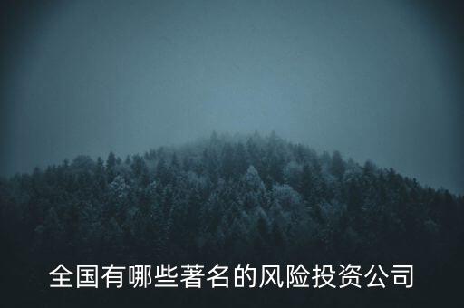 全國有哪些著名的風險投資公司