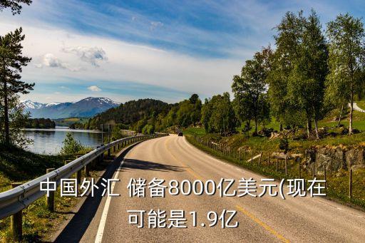 中國外匯 儲備8000億美元(現(xiàn)在可能是1.9億