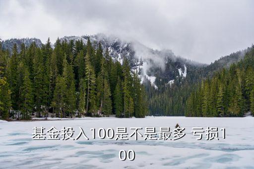  基金投入100是不是最多 虧損100