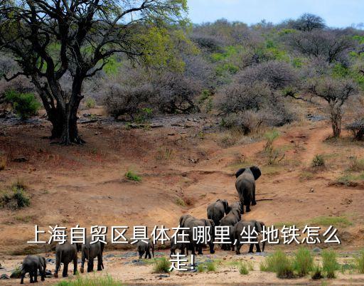 上海自由貿(mào)易試驗區(qū)示意圖,建設銀行上海自由貿(mào)易試驗區(qū)支行