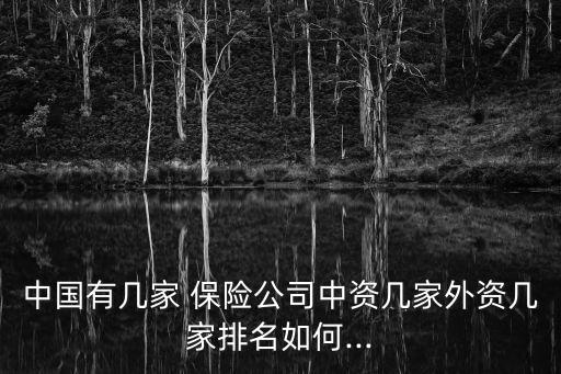 中國(guó)有幾家 保險(xiǎn)公司中資幾家外資幾家排名如何...