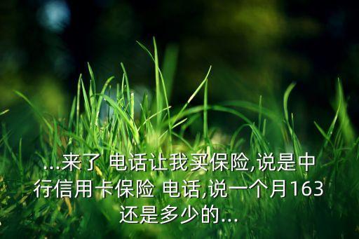 ...來(lái)了 電話讓我買(mǎi)保險(xiǎn),說(shuō)是中行信用卡保險(xiǎn) 電話,說(shuō)一個(gè)月163還是多少的...