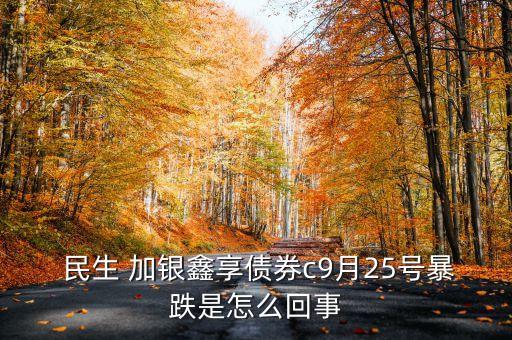  民生 加銀鑫享債券c9月25號暴跌是怎么回事