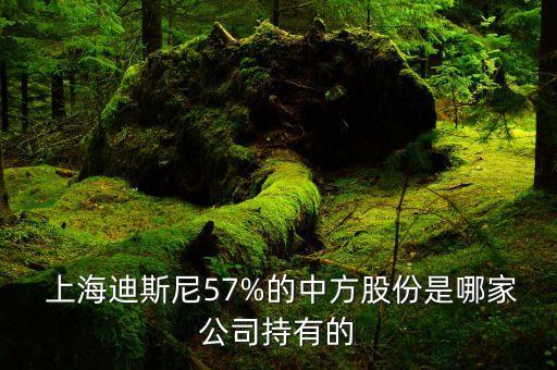  上海迪斯尼57%的中方股份是哪家公司持有的