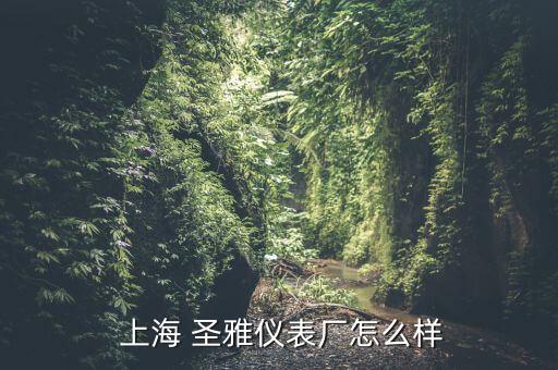 上海圣雅資產(chǎn)管理有限公司